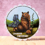 #1097 - A7 Stamp Set - Grizzly Heights