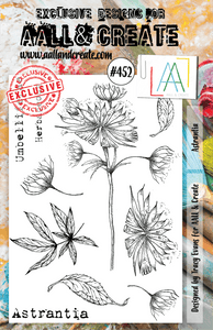 #452 - A5 Clear Stamp Set - Astrantia - AALL & Create Wholesale - stamp